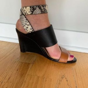 BCBG Max Azria Snake, BLK, Tan Kalice Wedge
